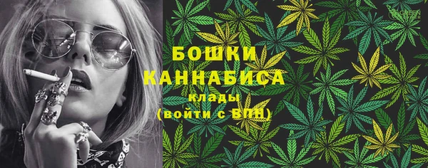бошки Алексин
