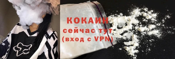 spice Алзамай