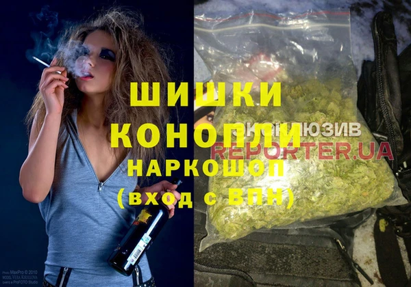 бошки Алексин